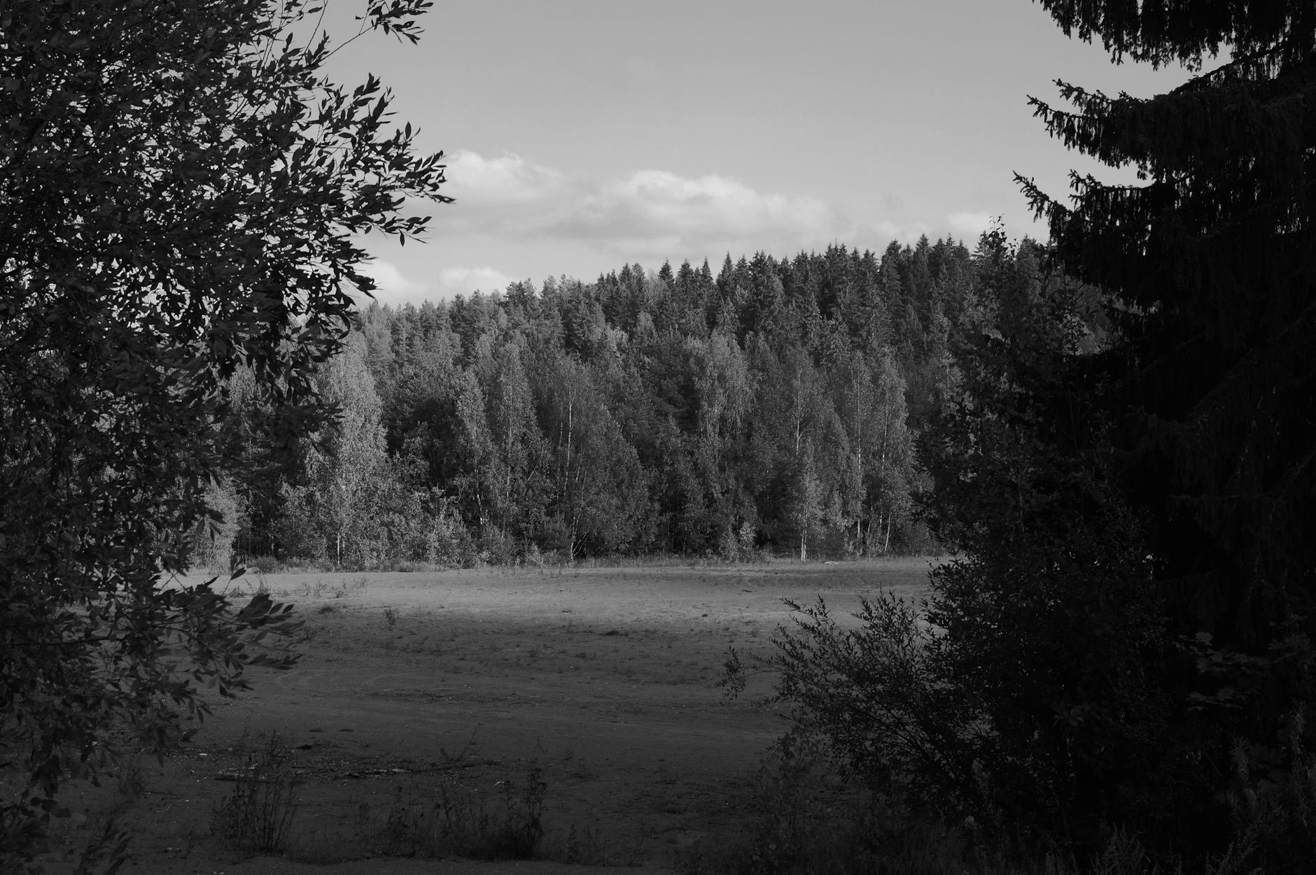 Paysage de Kouvola