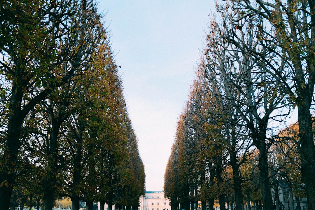 Vue de L Arbresle
