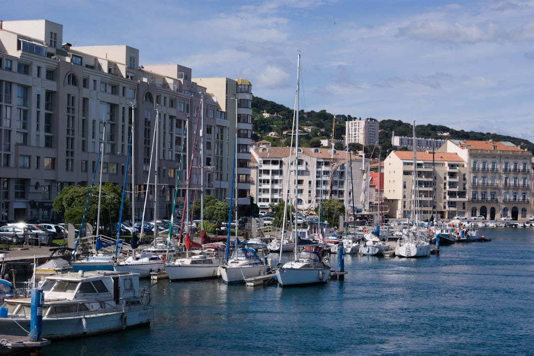 Paysage de L Isle Sur La Sorgue
