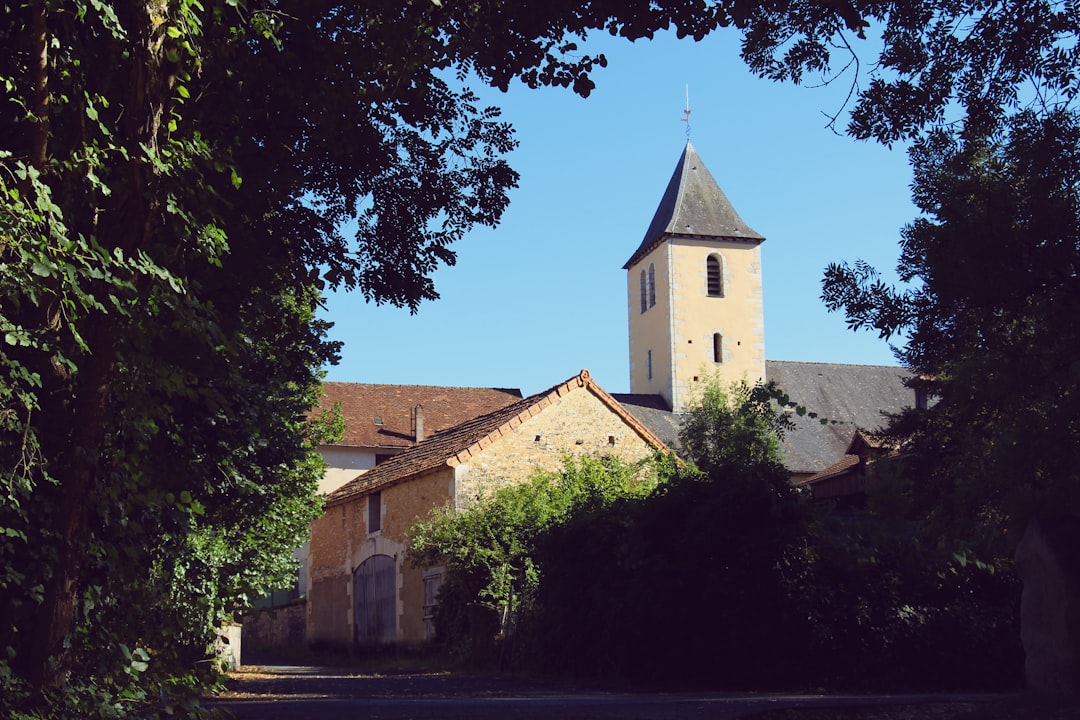 Paysage de La Ferte Saint Aubin