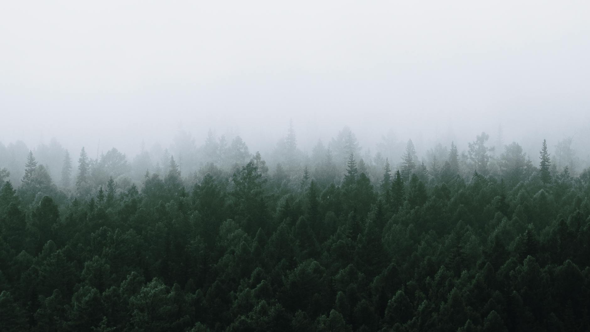 Paysage de Lesozavodsk