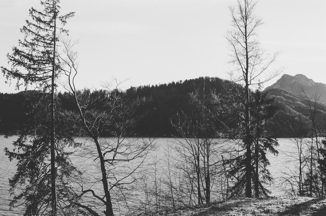 Paysage de Liljeholmen