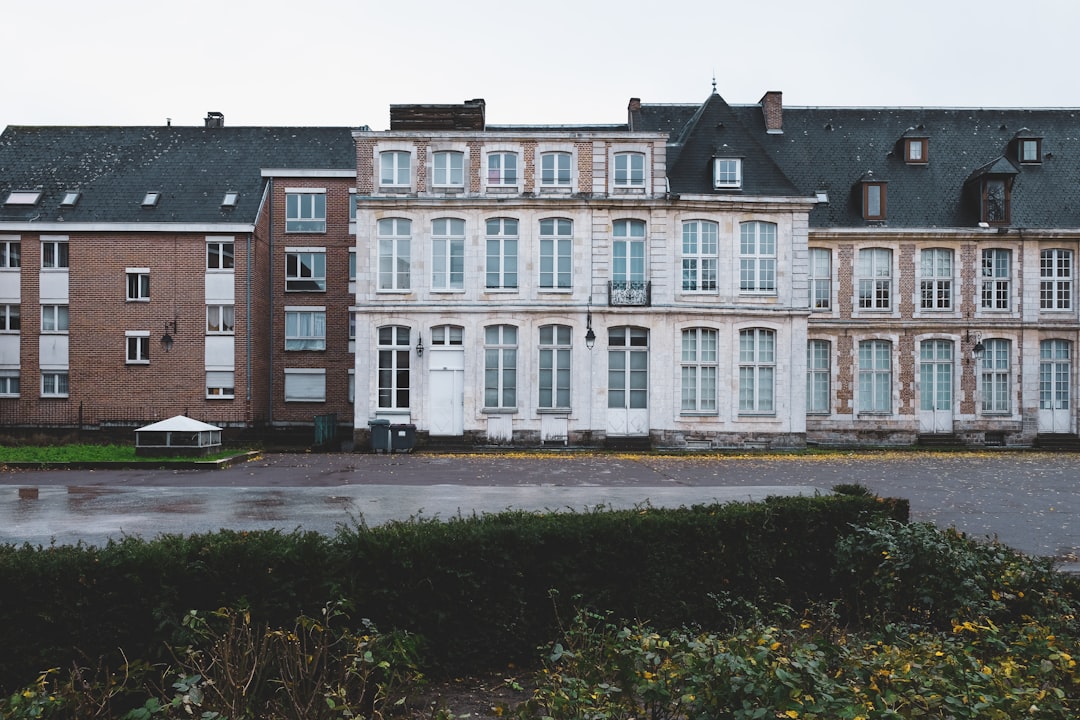 Vue de Lille