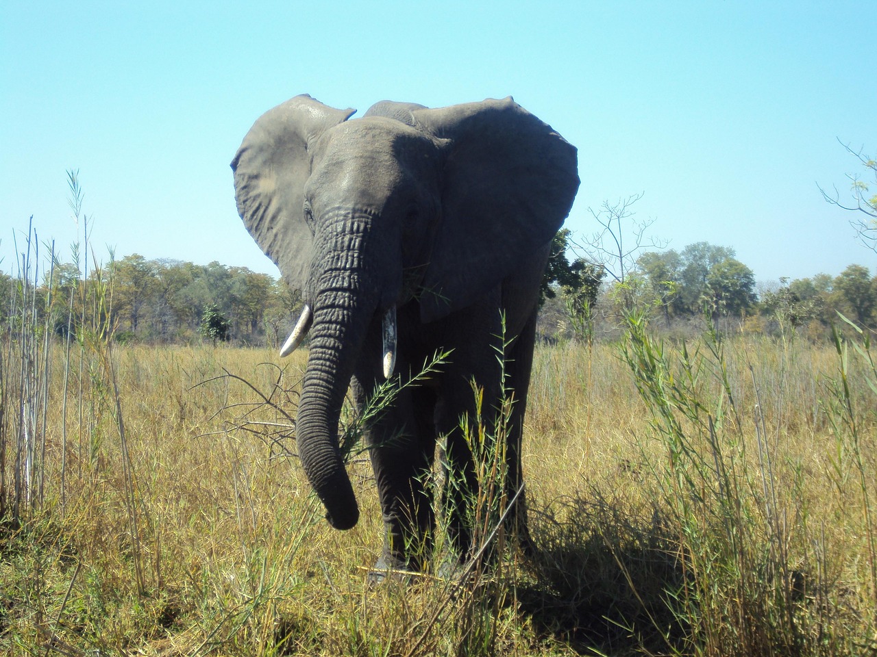 Paysage de Lilongwe Area 43