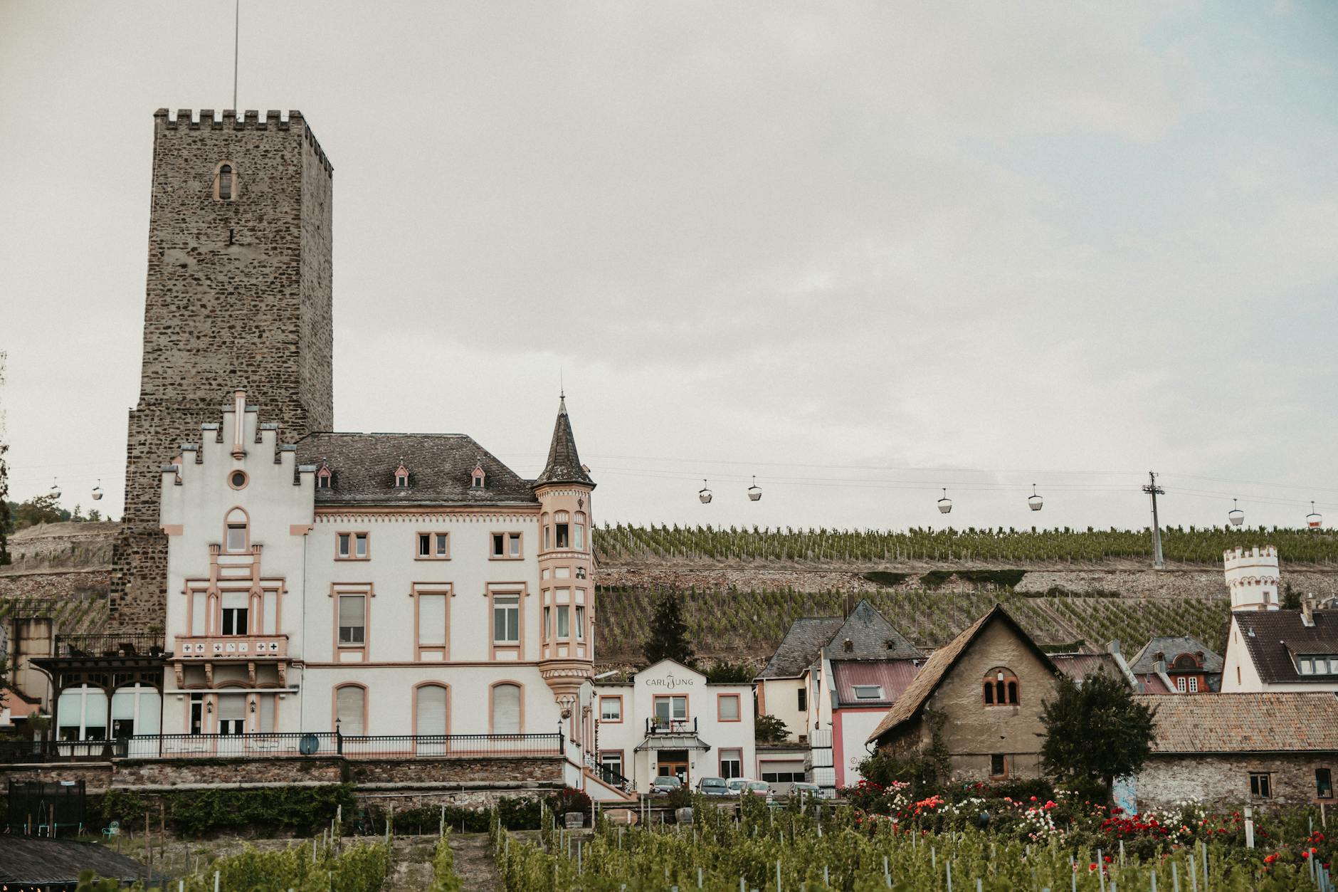 Paysage de Linz am Rhein