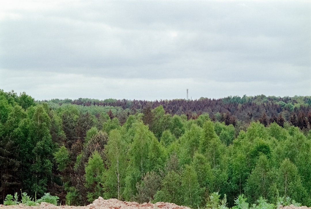 Paysage de Liperi