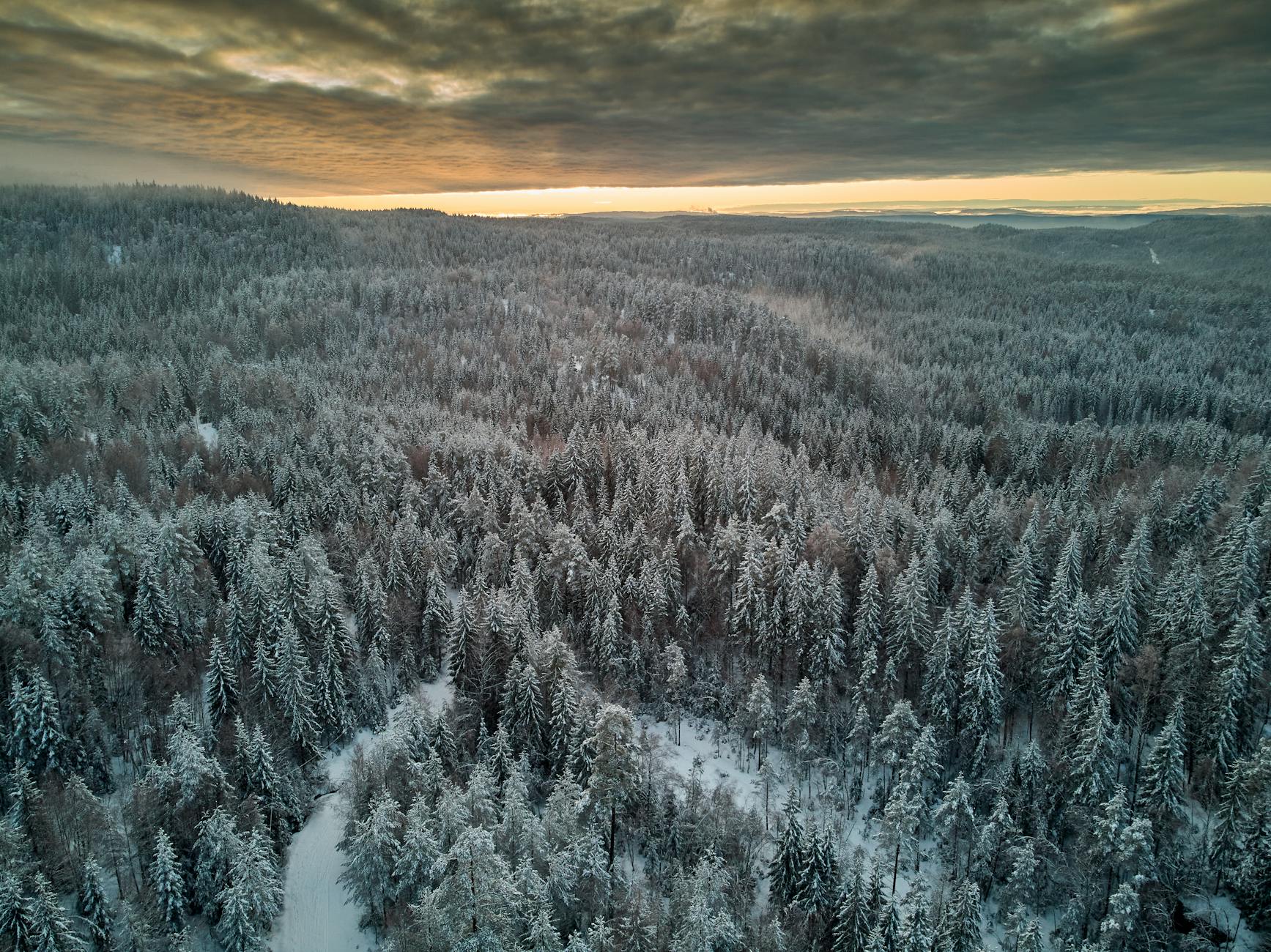 Paysage de Lørenskog