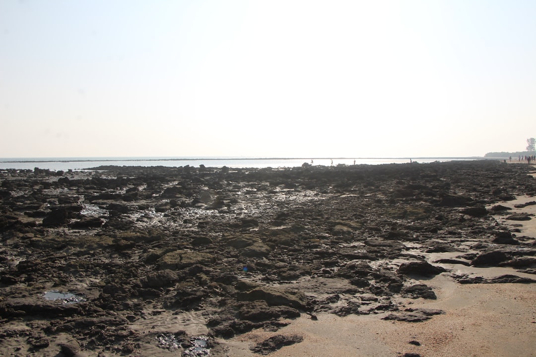 Paysage de Magenta Beach