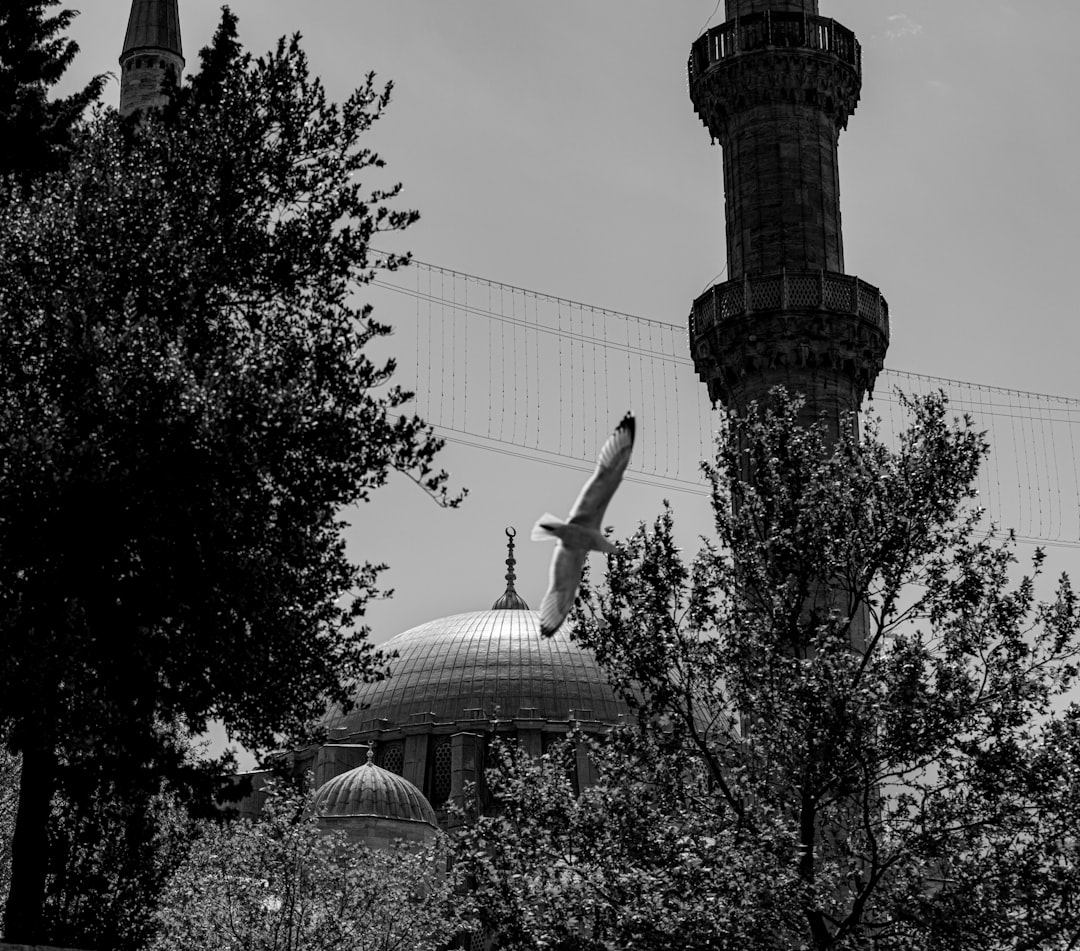 Paysage de Merzifon