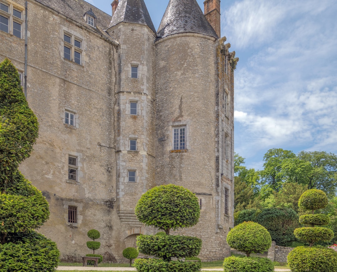 Vue de Meung Sur Loire