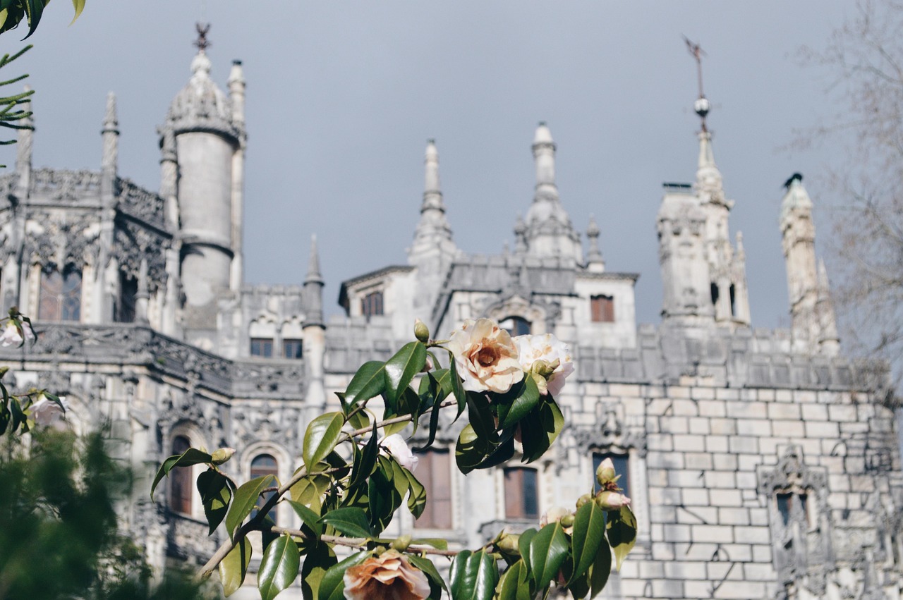 Paysage de Monção