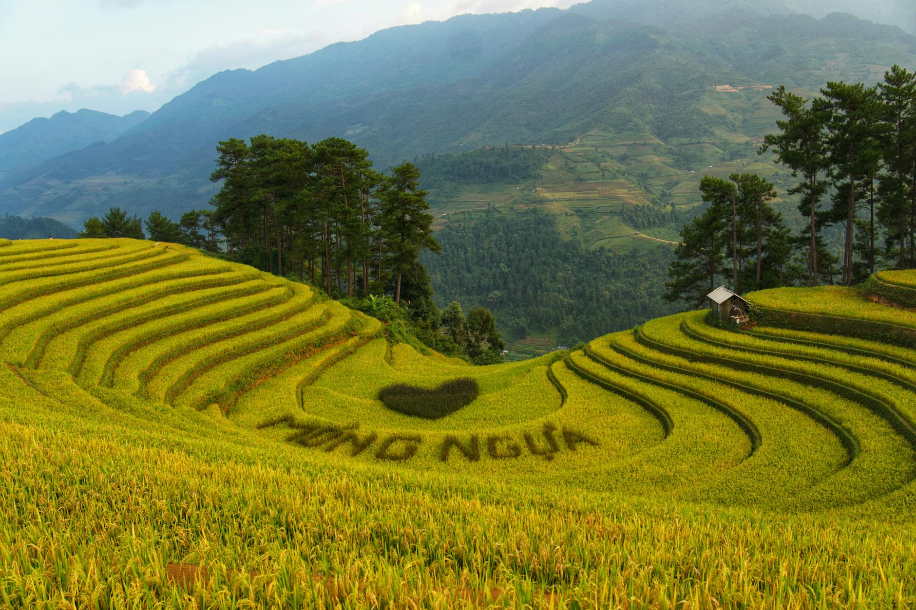Paysage de Mong Lta