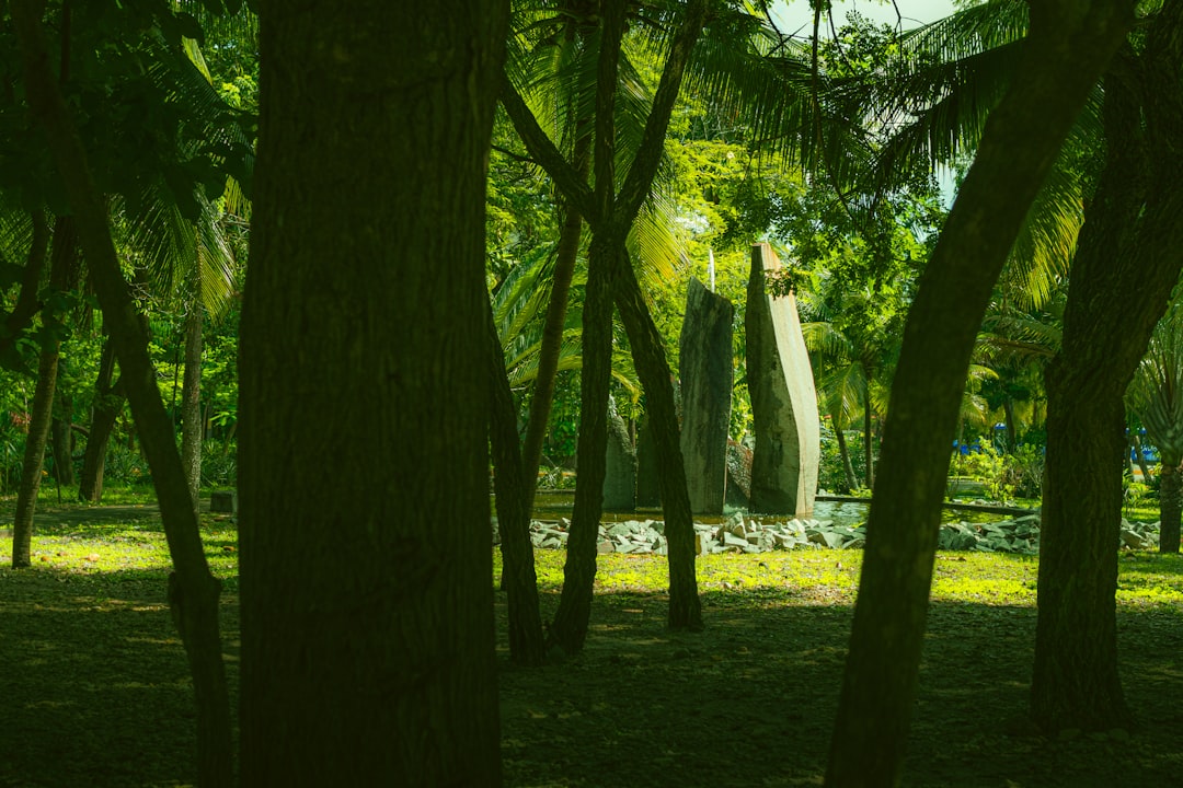 Paysage de Morden Park