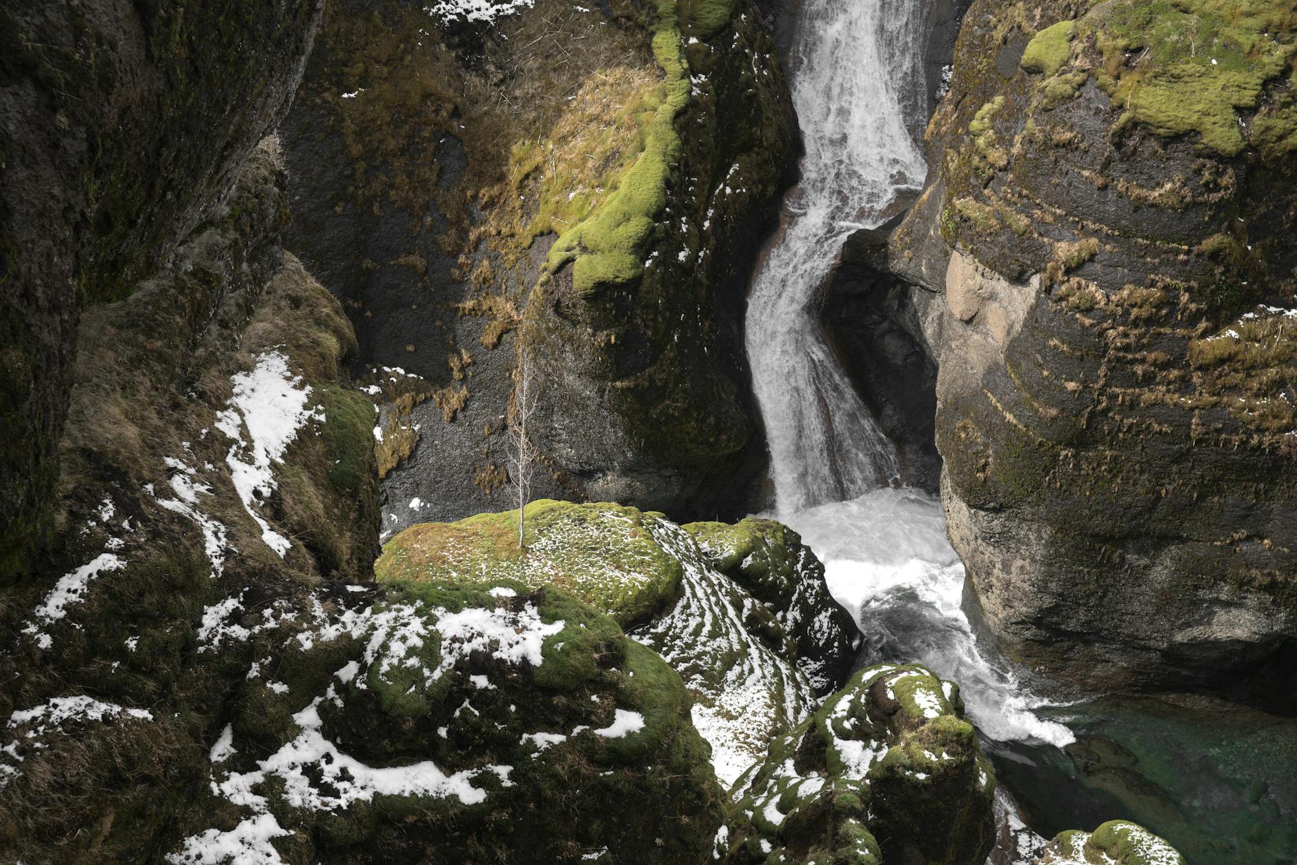 Paysage de Moss