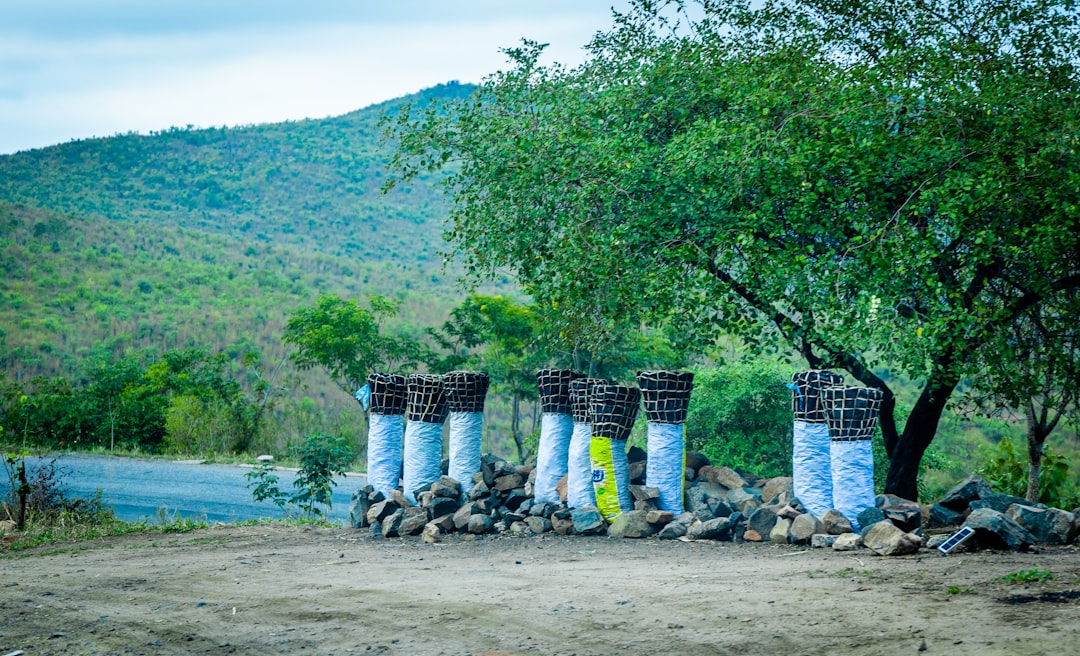 Vue de Mzuzu Zolozolo
