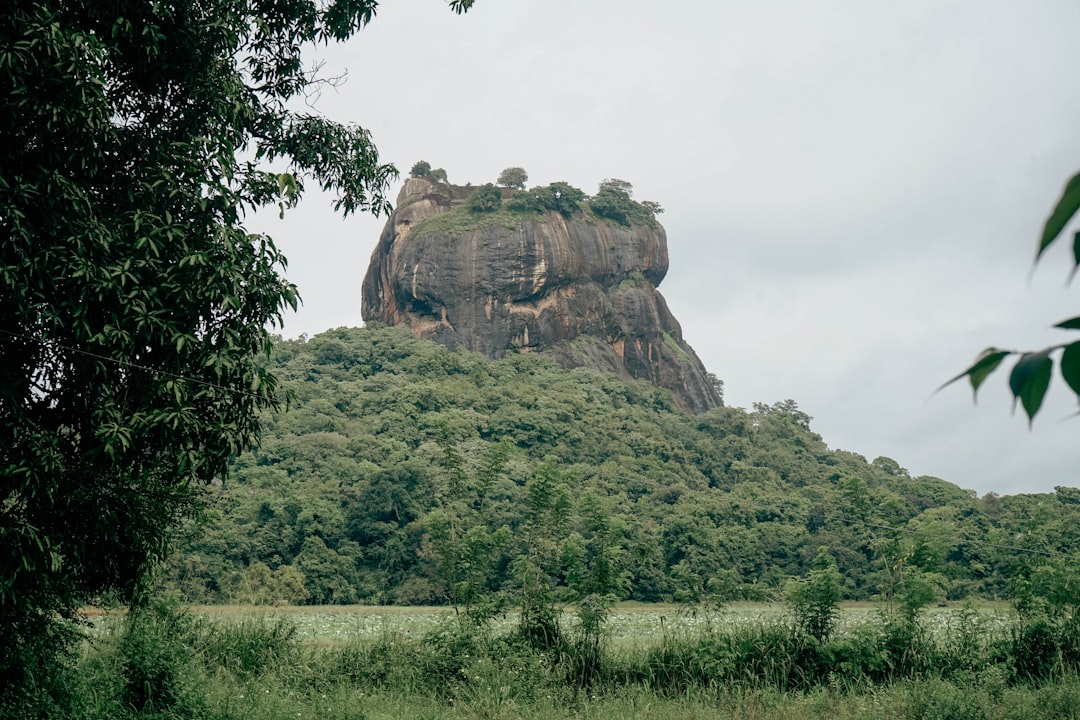 Paysage de Nainativu