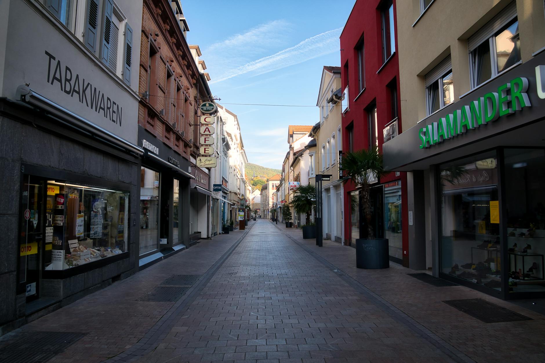 Paysage de Neustadt an der Weinstraße