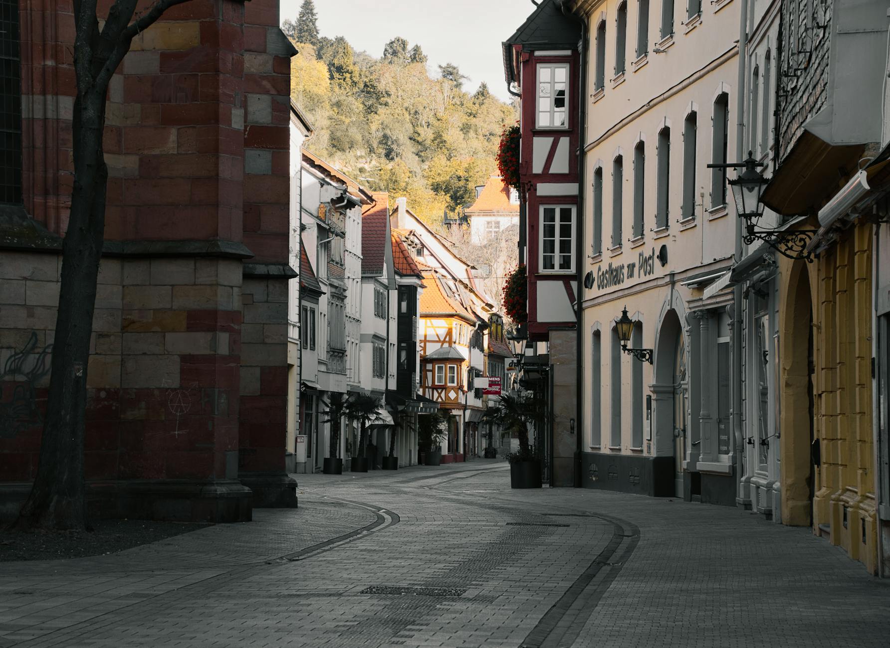 Paysage de Neustadt (Weinstraße)