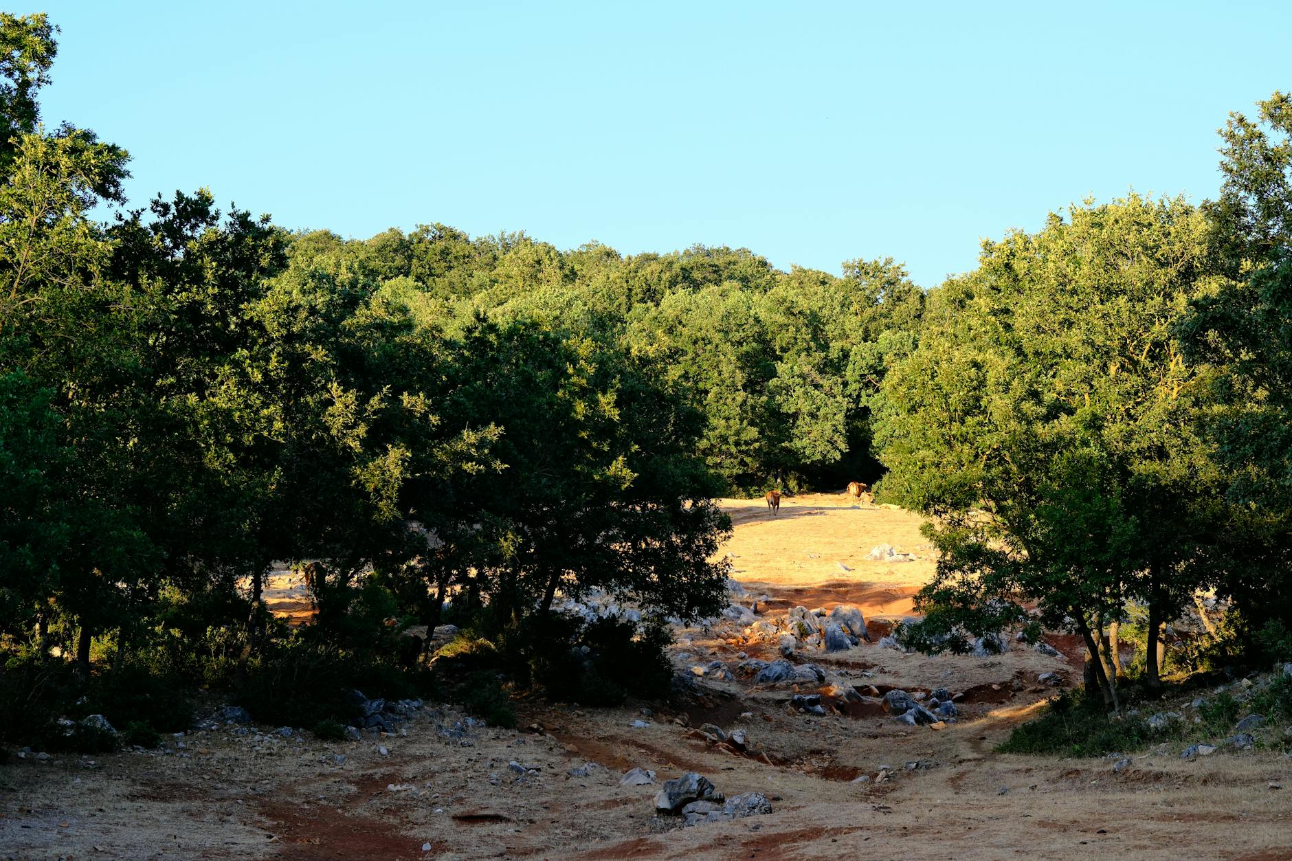 Vue de Orhangazi