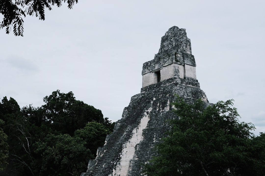 Paysage de Pâncota