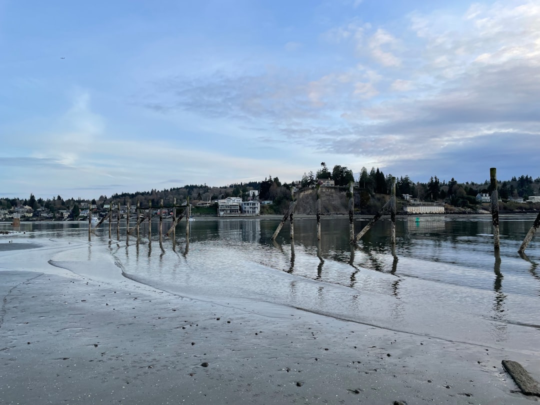 Vue de Plage de Myrtille
