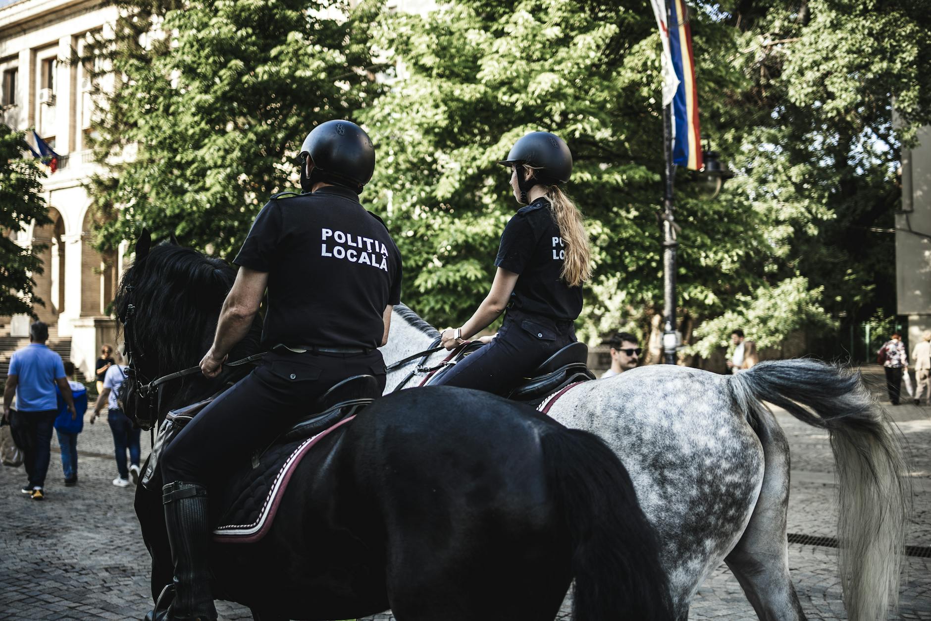 Vue de Police