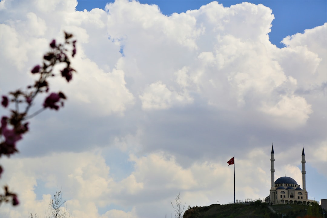 Paysage de Popovo