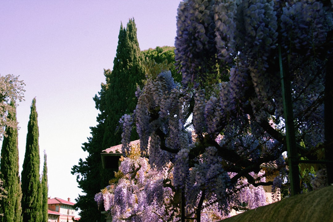Paysage de Primiero San Martino