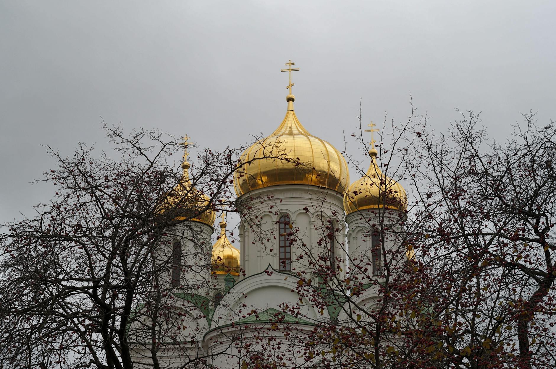Vue de Pushkin