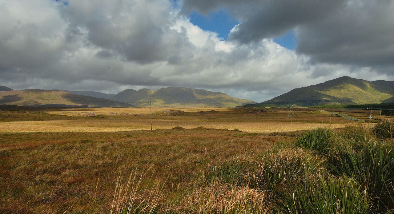 Paysage de Roscommon