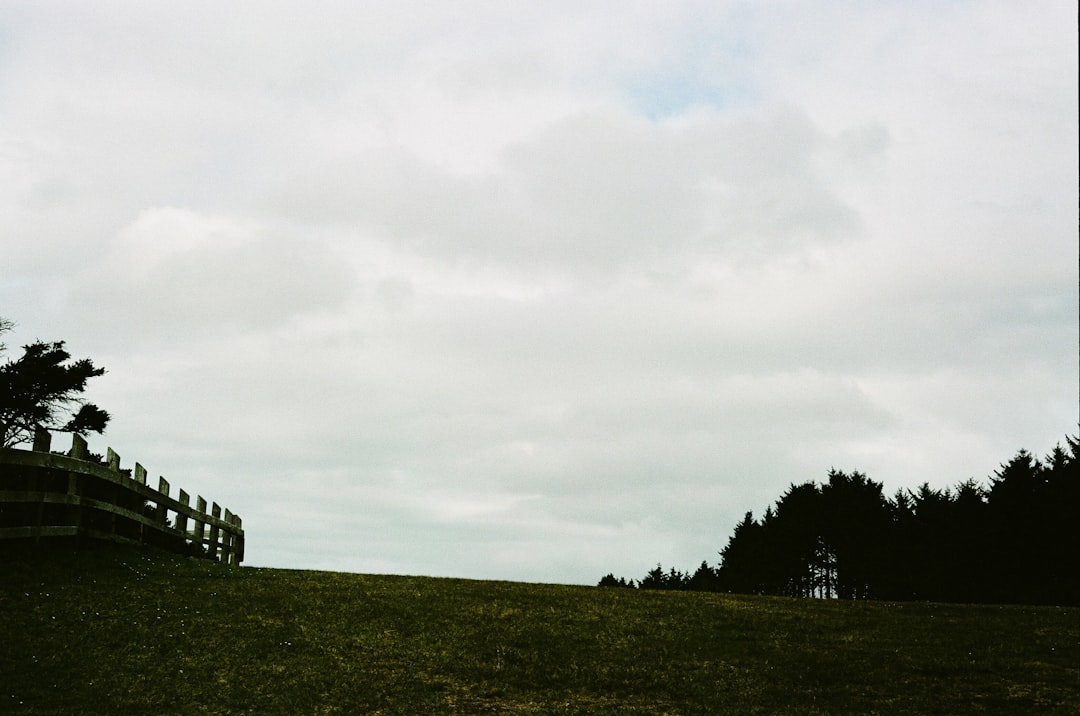 Paysage de Rottingdean