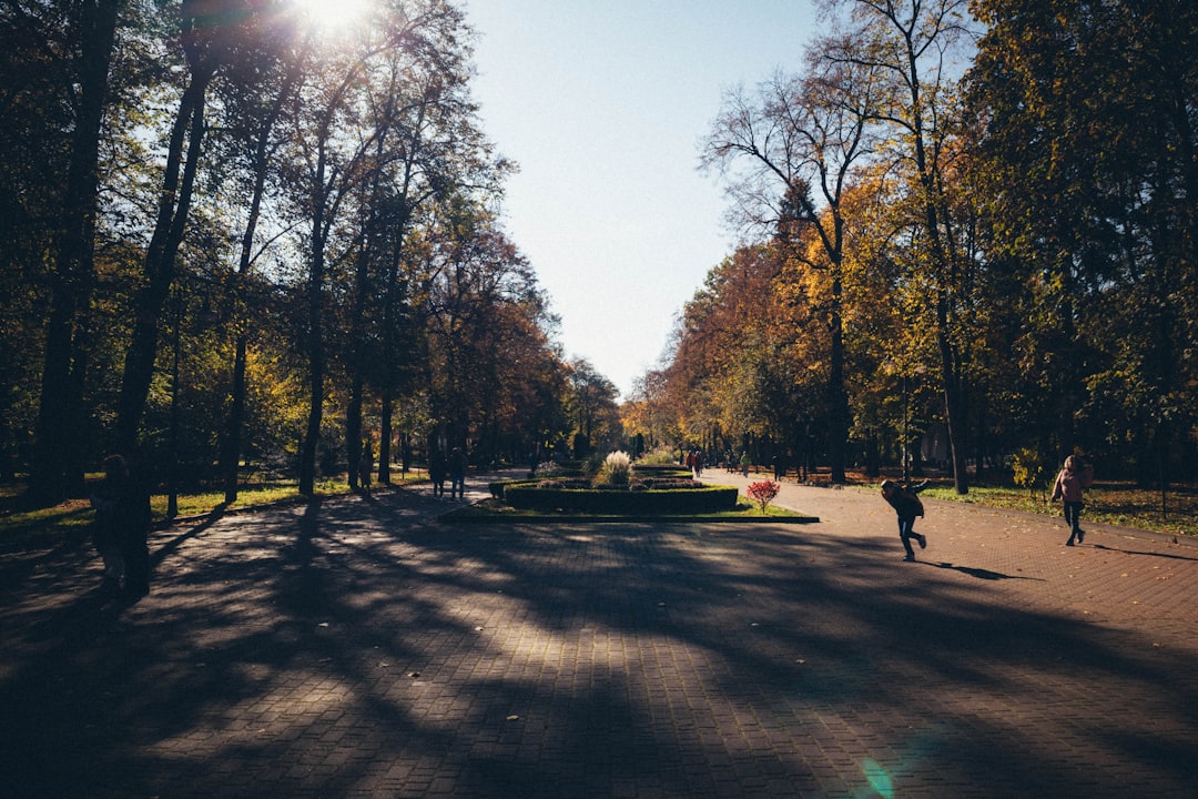 Paysage de Salbris
