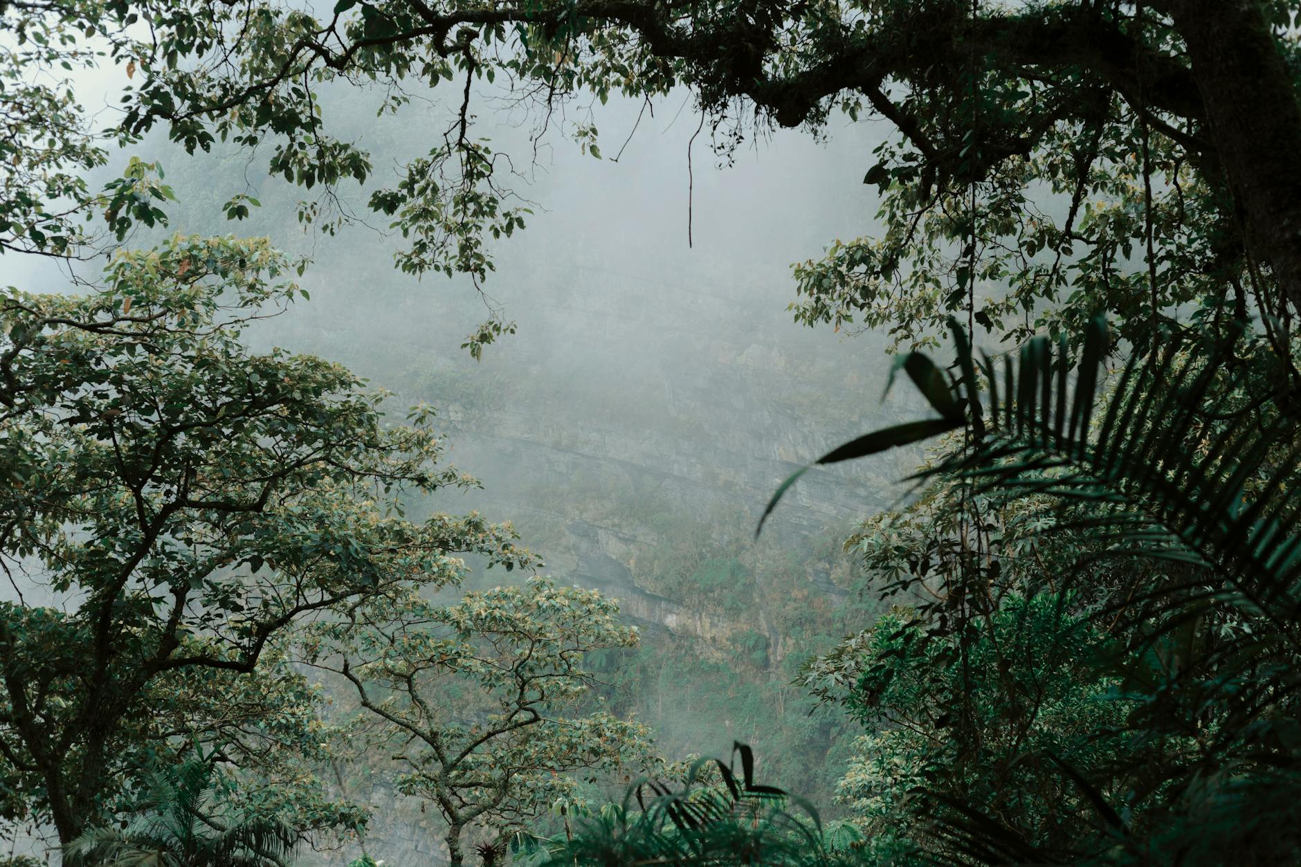 Paysage de San Antonio del Táchira