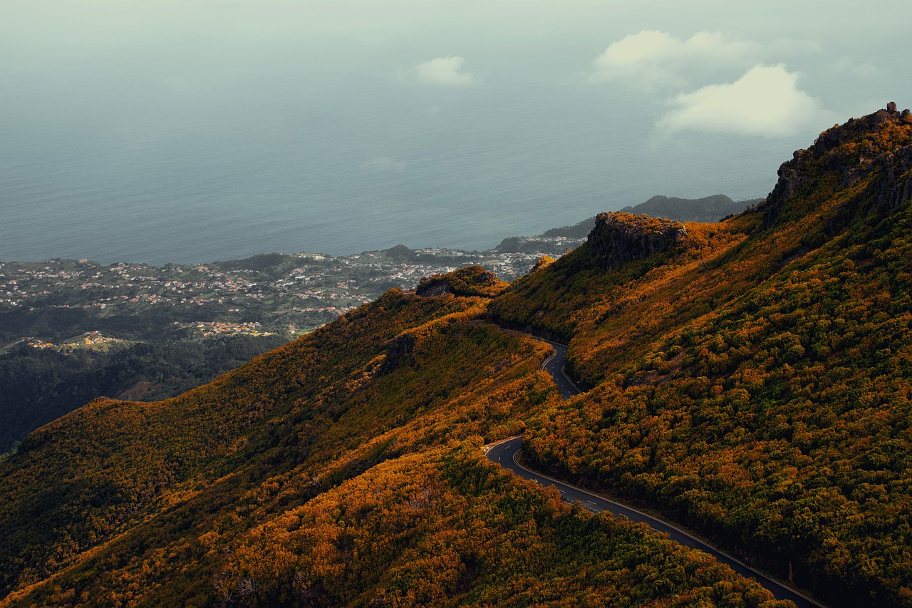 Vue de São João da Madeira