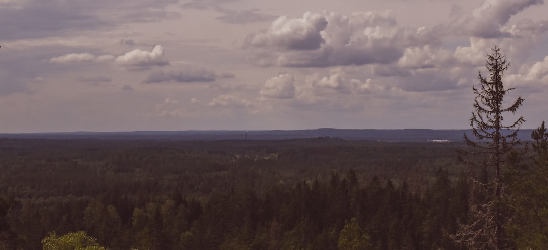 Vue de Savukoski