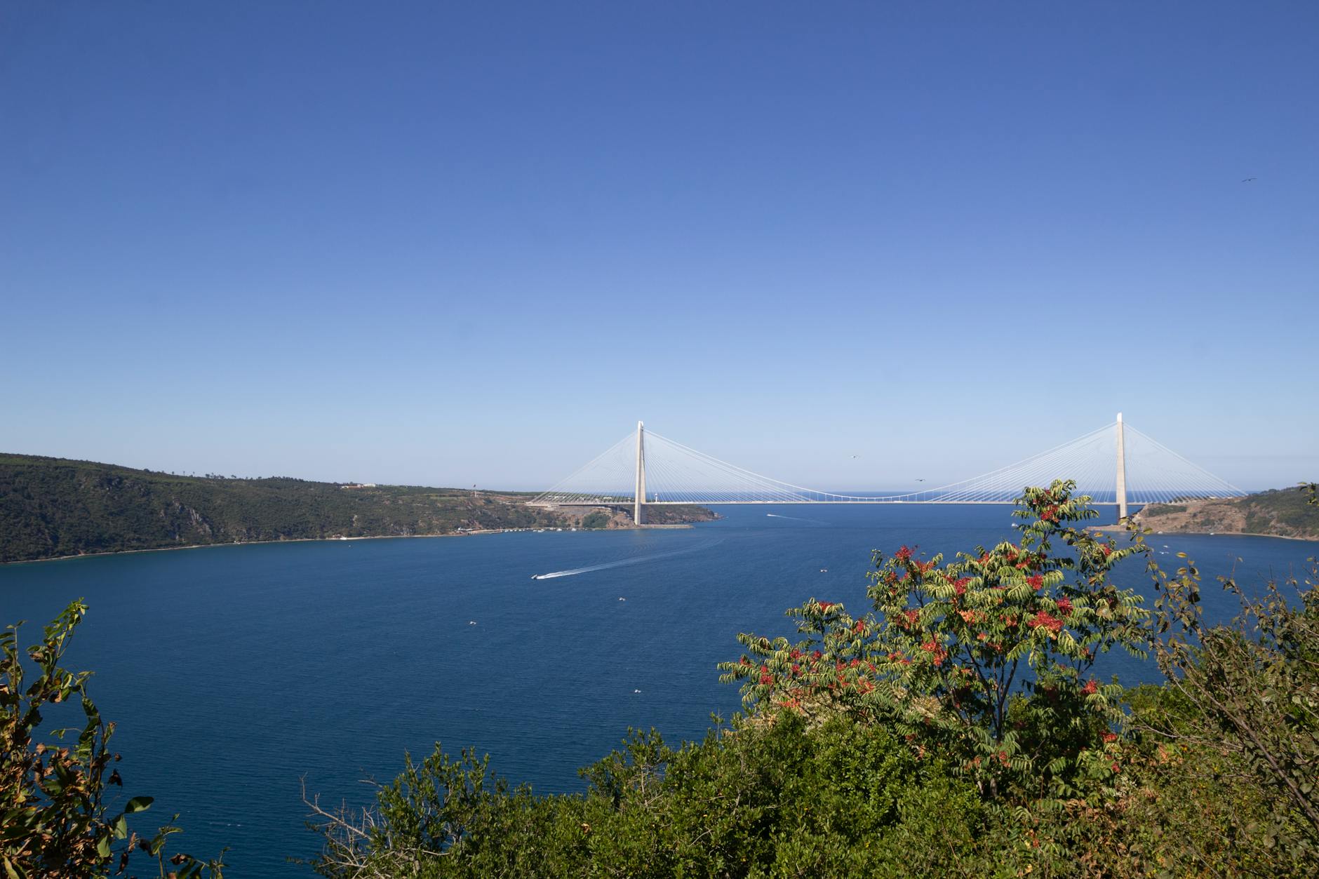 Vue de Selim