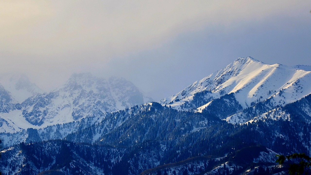 Paysage de Shemonaikha