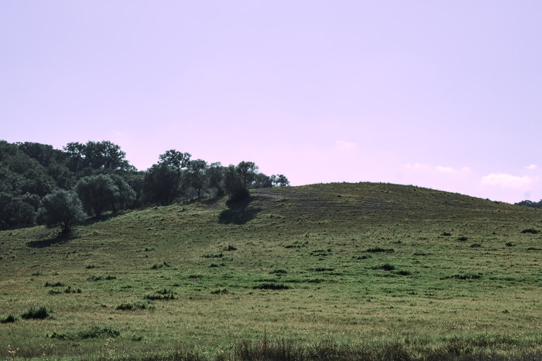 Paysage de Shildon