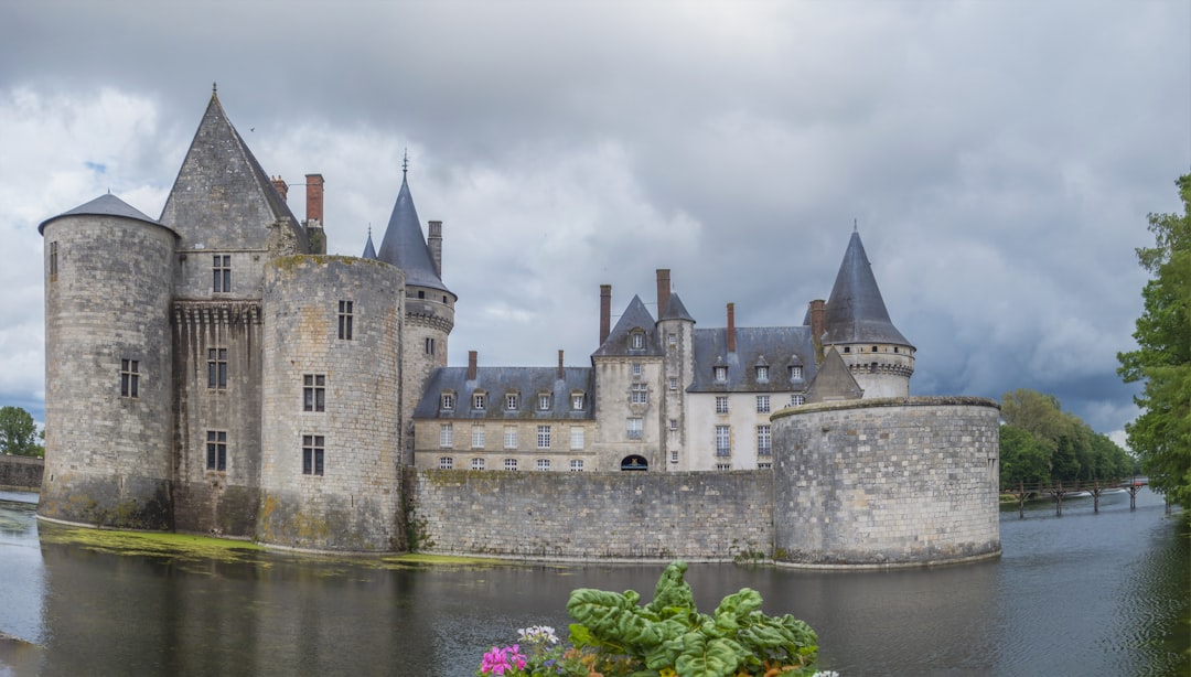 Paysage de Sully Sur Loire