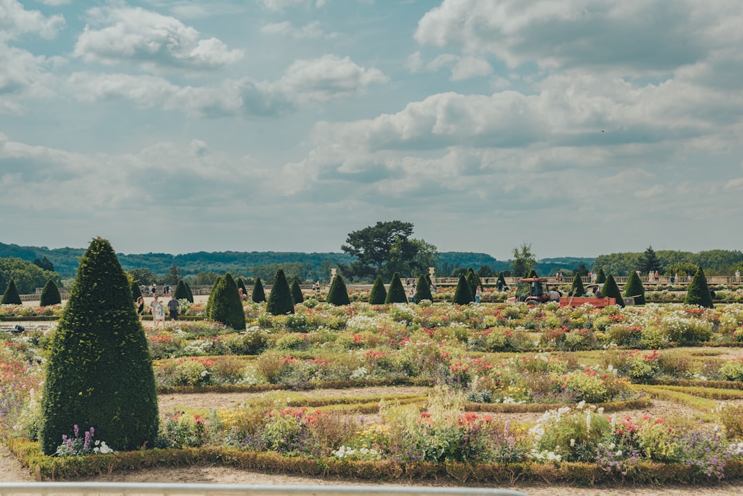 Vue de Versailles
