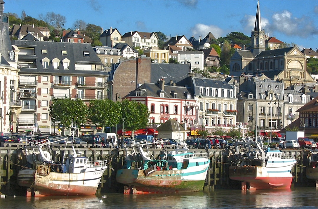 Vue de Vire Normandie